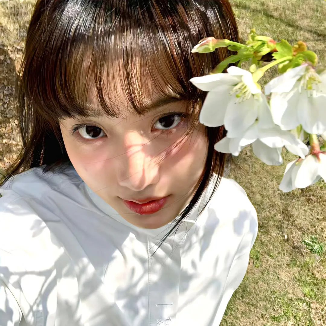 搜索并摧毁